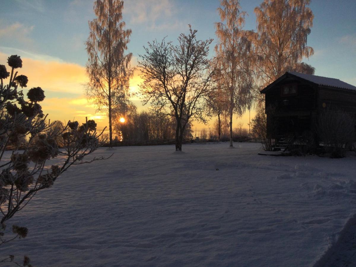 Mysigt Boende I Raettvik Med Utsikt Oever Siljan מראה חיצוני תמונה