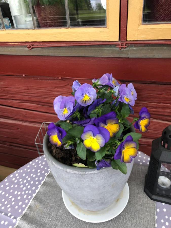 Mysigt Boende I Raettvik Med Utsikt Oever Siljan מראה חיצוני תמונה