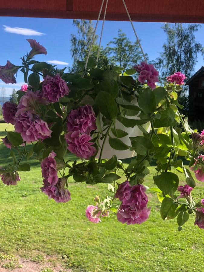 Mysigt Boende I Raettvik Med Utsikt Oever Siljan מראה חיצוני תמונה
