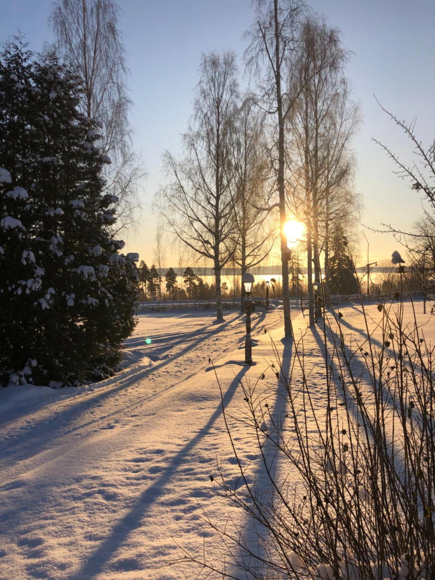 Mysigt Boende I Raettvik Med Utsikt Oever Siljan מראה חיצוני תמונה